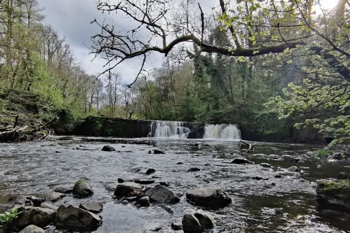 Linn Park