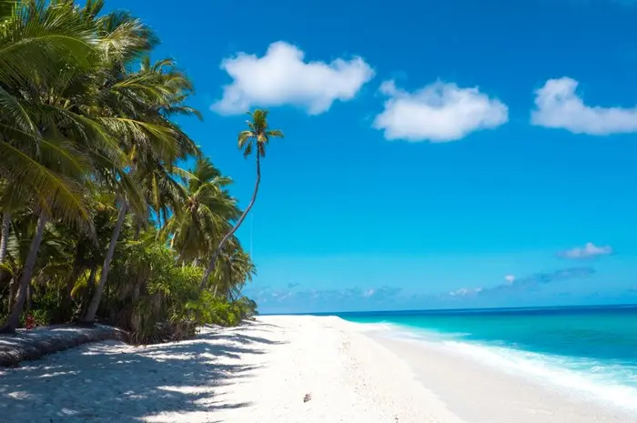 Exciting Summer Vacation Ideas for Every Traveler