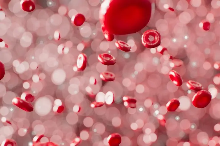 How to Naturally Increase Your Hemoglobin Level