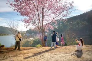 Unforgettable Spring Break Vacation Ideas