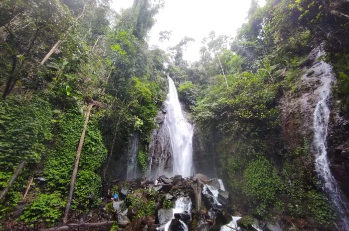 Waterfall Tours in Bogor with Enchanting Natural Beauty